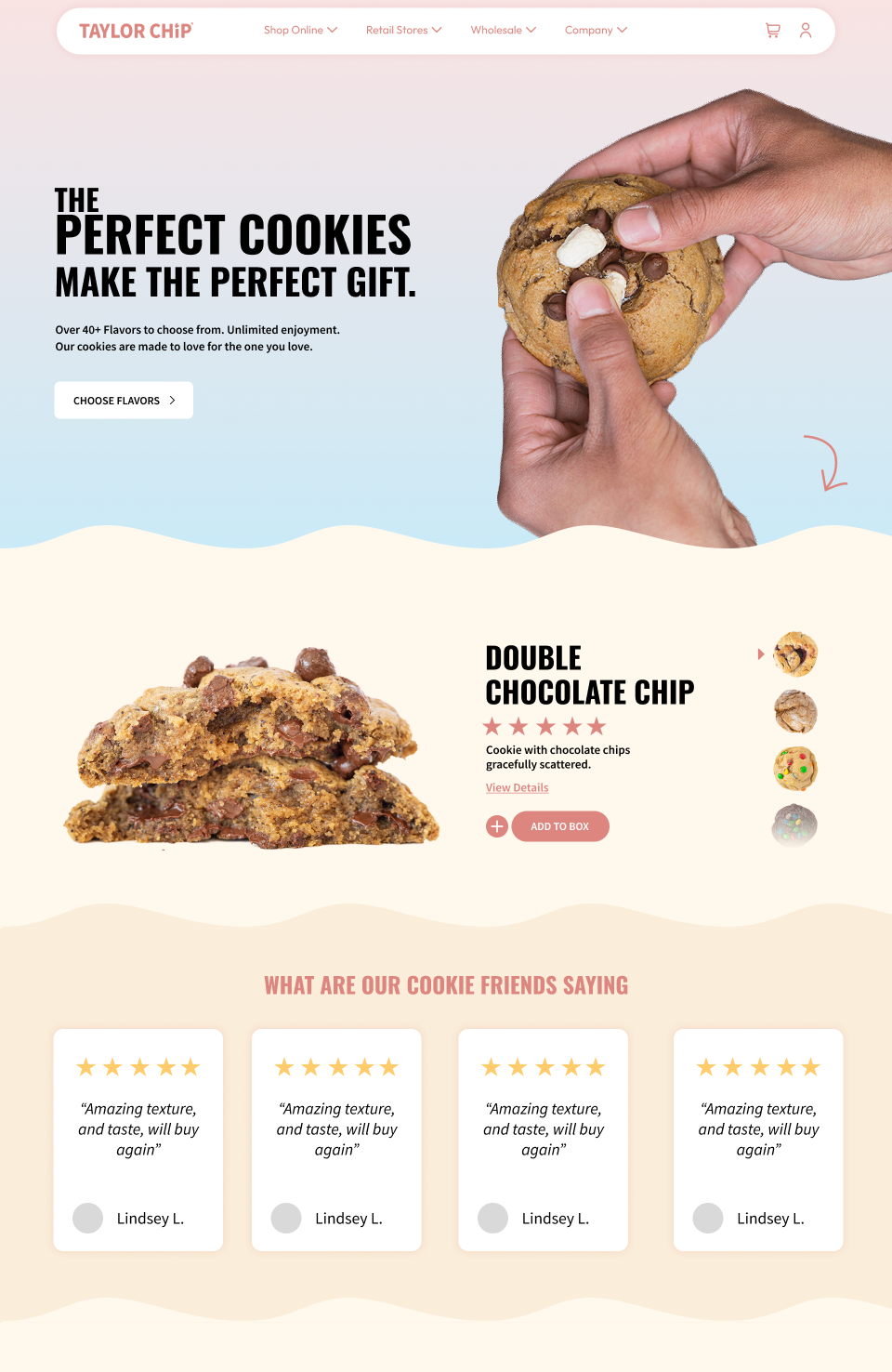 Taylor Chip Website Preview
